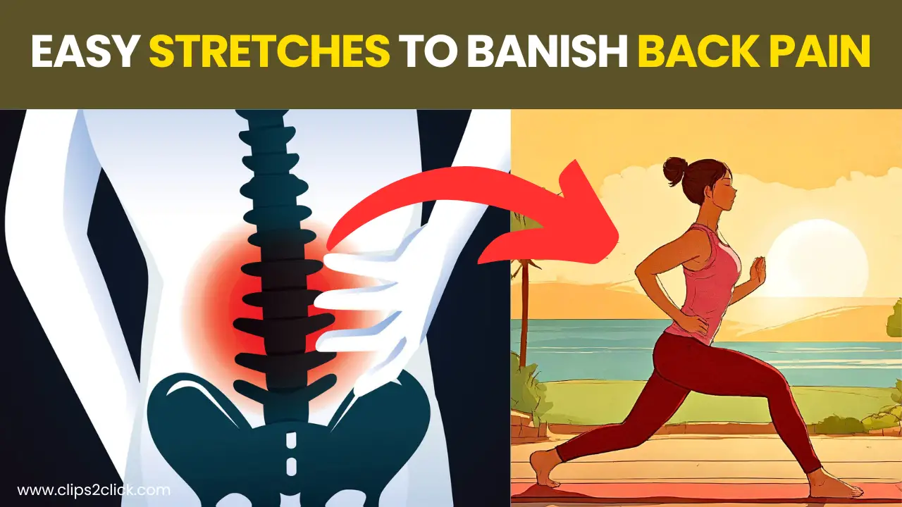 Lower Back Pain Exercises: Strength and Stretches for Relief