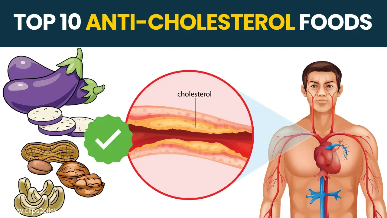 foods lower cholesterol