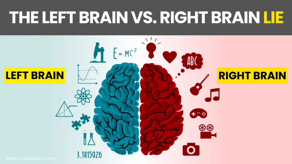 Debunking the "Right Brain vs Left Brain" Myth: Unlocking Your Mind's Full Potential