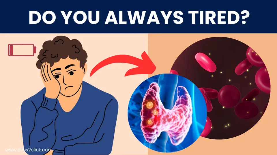 Are You Always Tired? Here's Why You're Feeling Fatigued All the Time