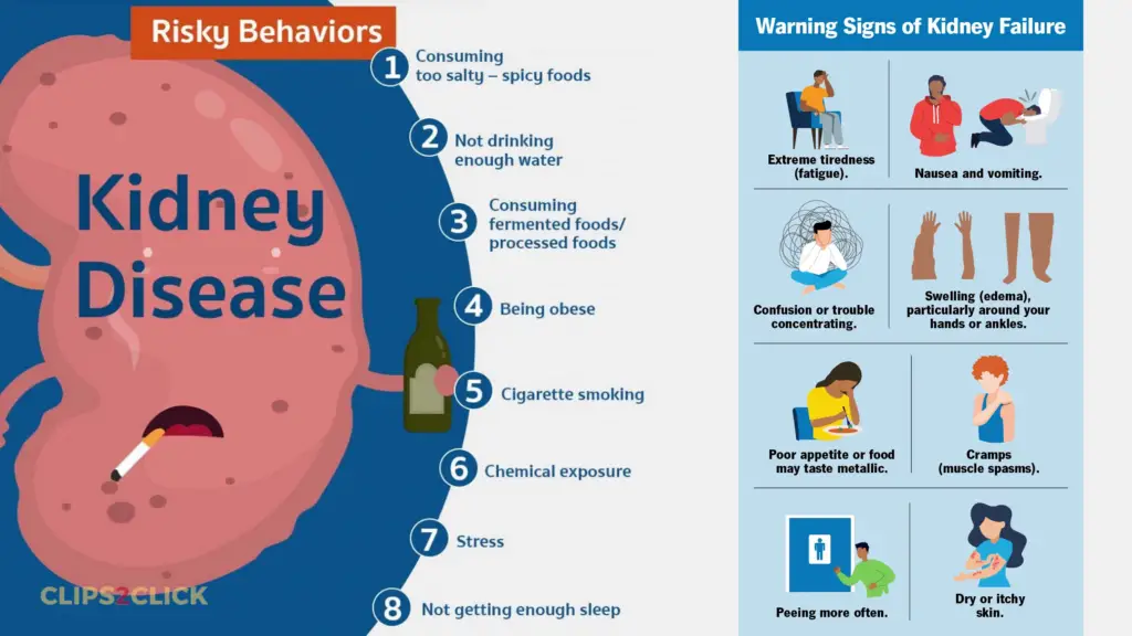 Chronic Kidney Disease Risk factors