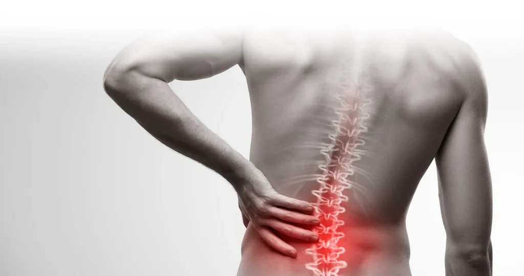 What are the causes of lower back pain?