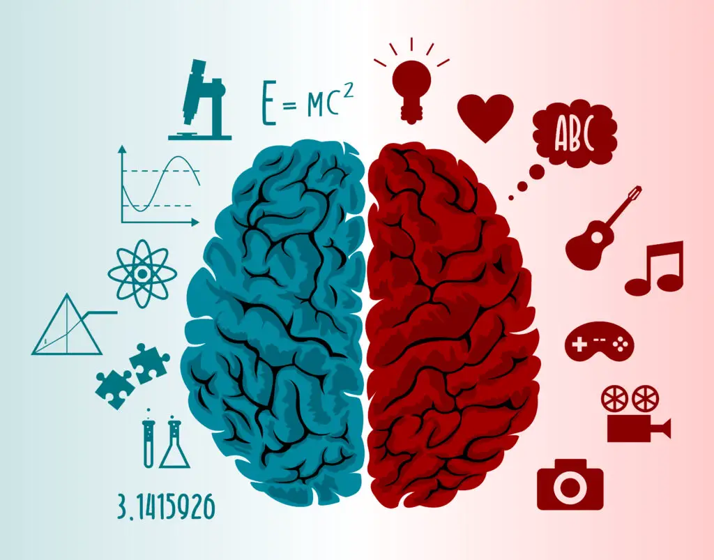 Debunking the "Right Brain vs Left Brain" Myth